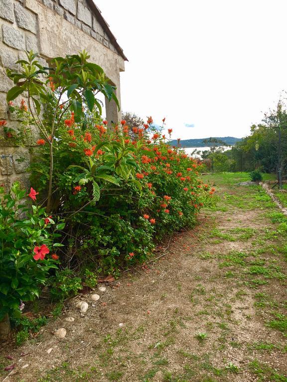 Villa Marina Di Fiori Pezza Cardo Porto-Vecchio  Exterior foto